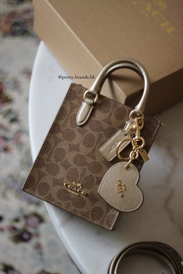 Boxed mini tote bag coach