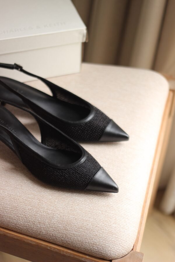 Charles and Keith - Image 2