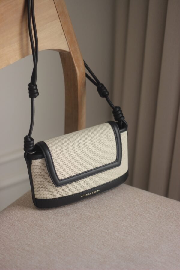 Sabine canvas charles & keith bag - Image 3