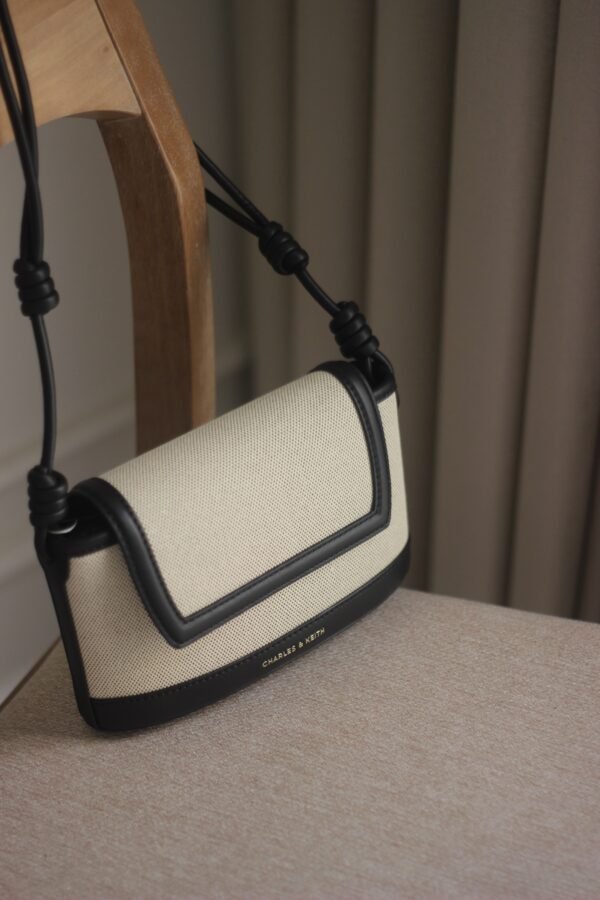 Sabine canvas charles & keith bag