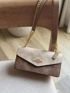 Coach Klare Envelope